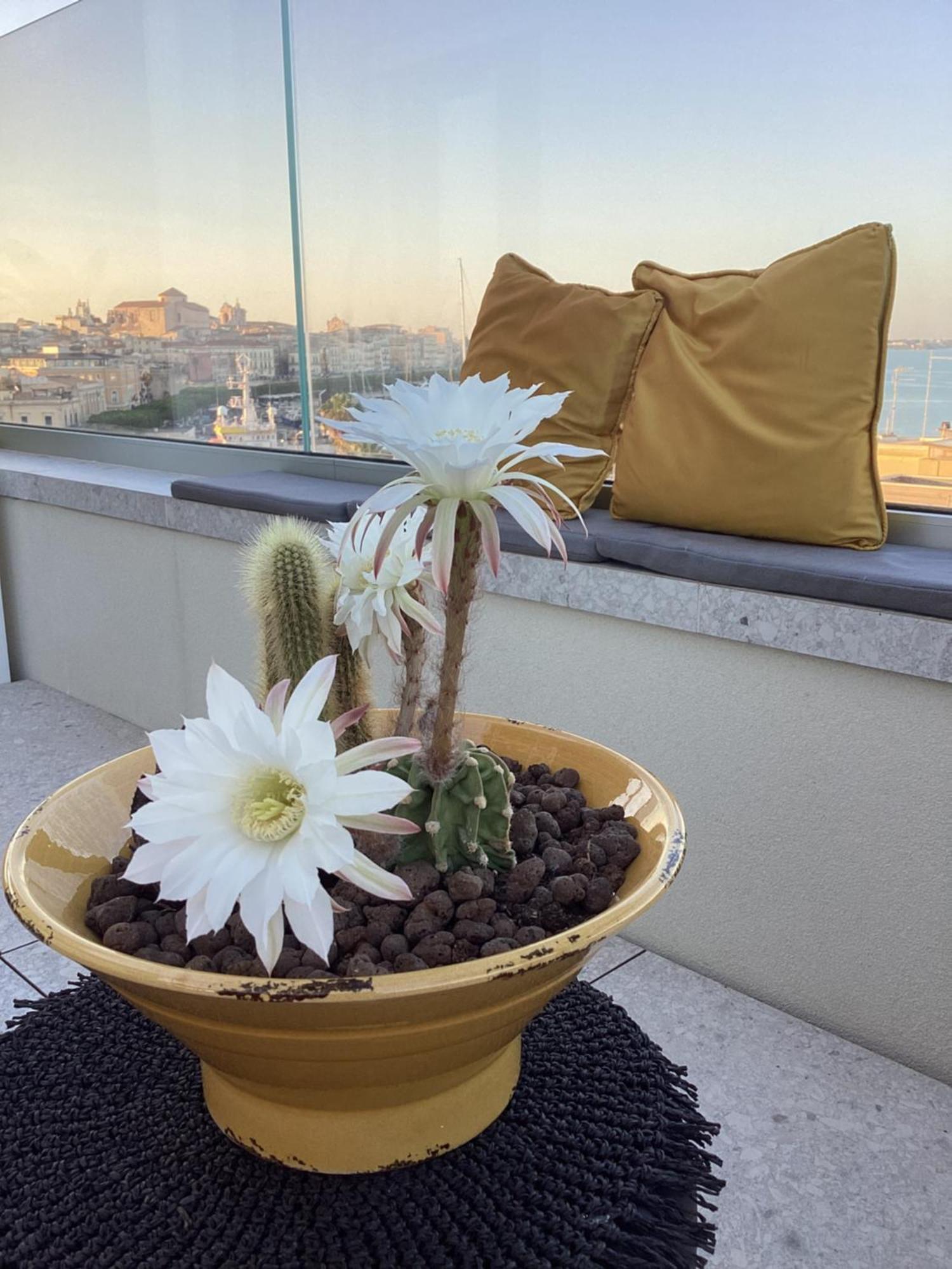 Bed and Breakfast La Terrazza Sul Porto Syrakus Exterior foto