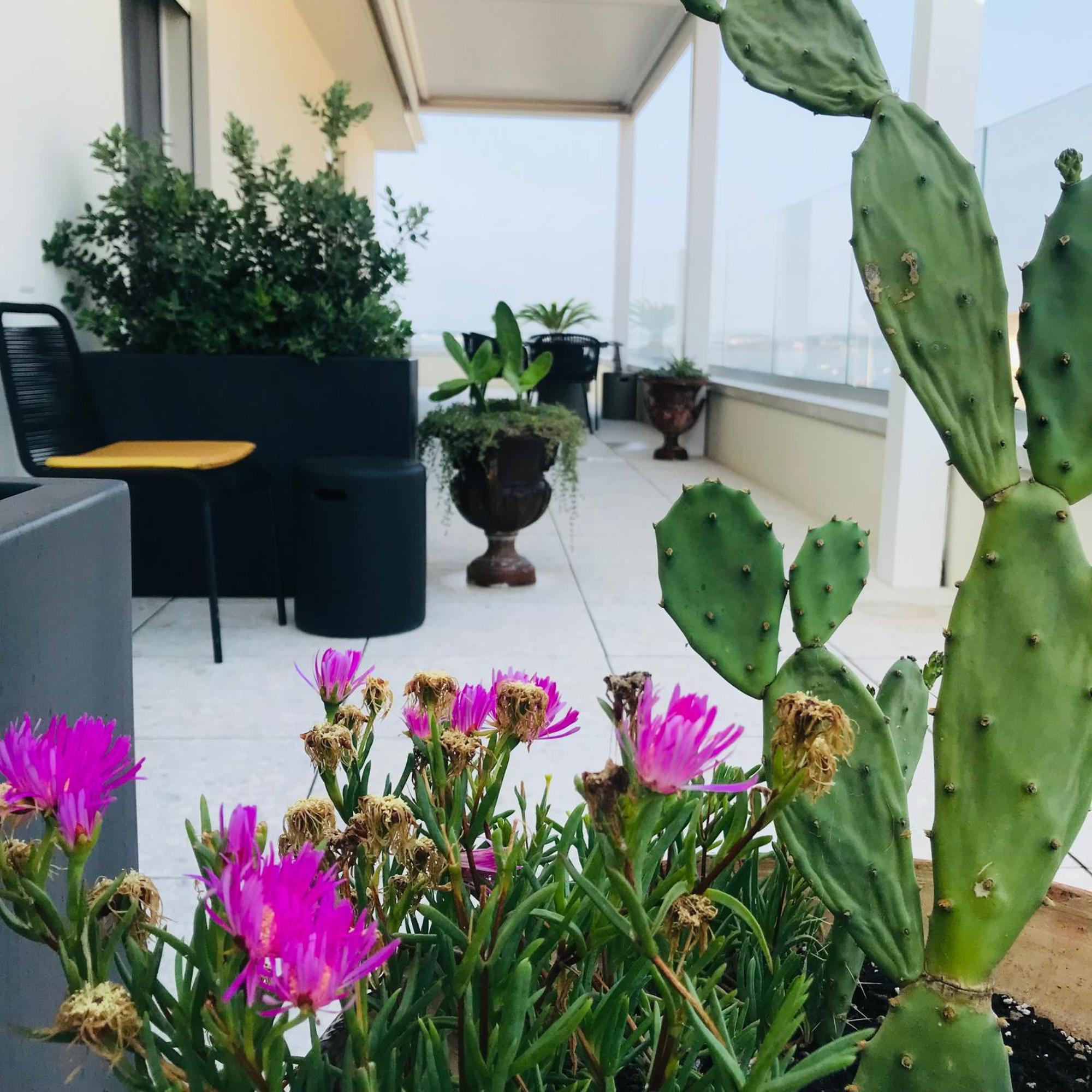 Bed and Breakfast La Terrazza Sul Porto Syrakus Exterior foto